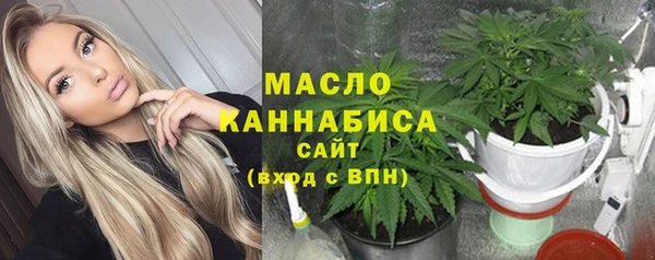 индика Чердынь
