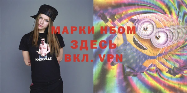 прущий лед Дмитриев