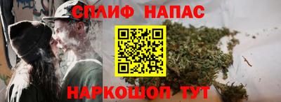 скорость Бийск