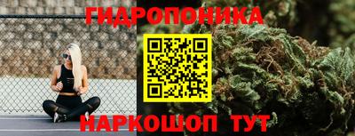 стафф Балаково